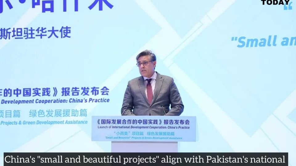 China's "small and beautiful projects" align with Pakistan's national economic transformation plan: Ambassador Hashmi