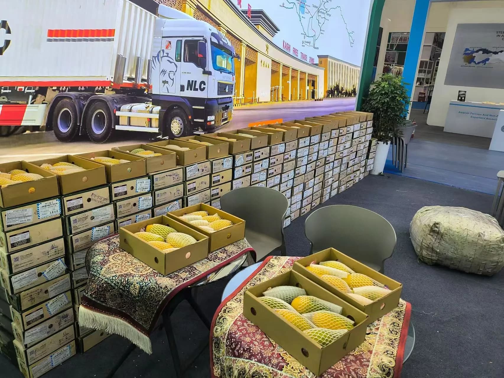 Imperial Ventures plans to import 50,000 kg Pakistani mangoes