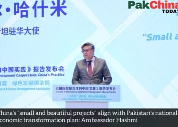 Ambassador Hashmi