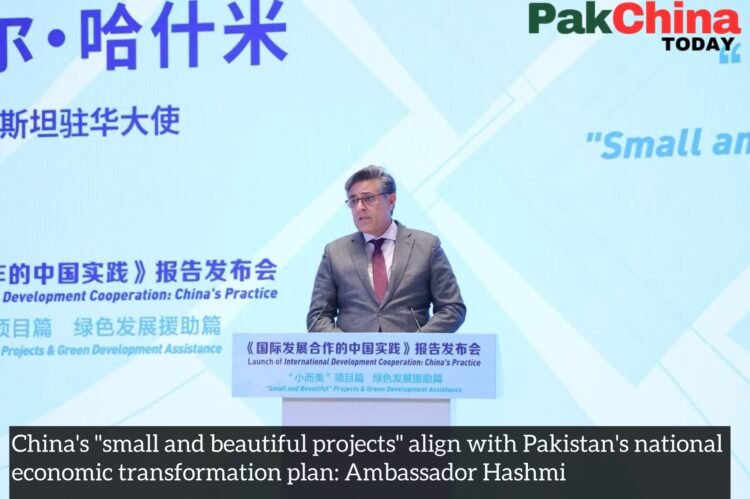 Ambassador Hashmi